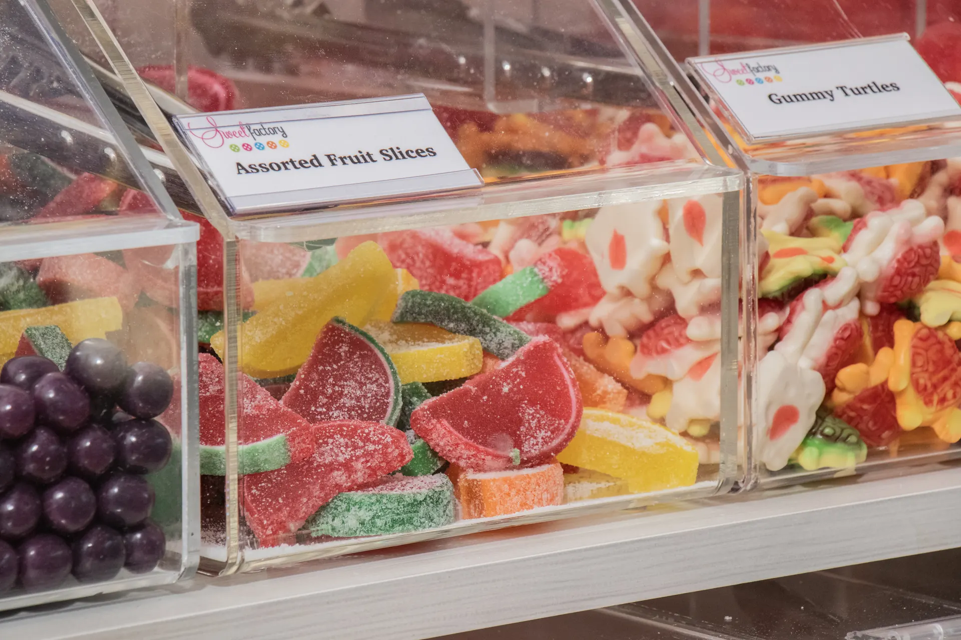 Colorful assorted fruit slices and gummy turtles at Sweet Factory, Somerset Mall
