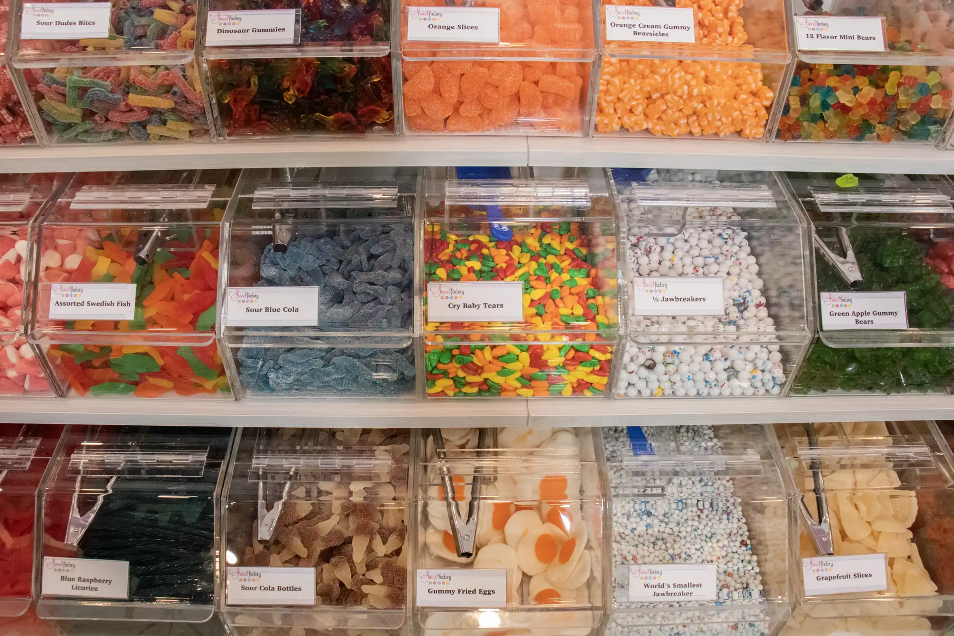 Vivid sour candy belt wall close-up at Sweet Factory, Somerset Mall, Troy Michigan